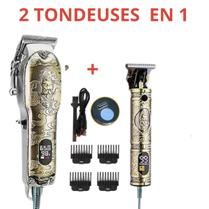 Tondeuse Professionnelle puissante 2 en 1 acier